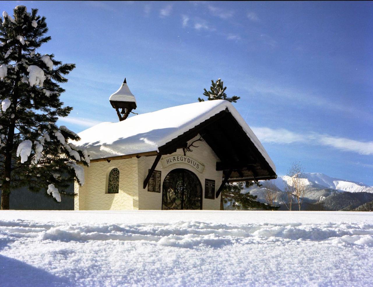 Gasthof Zum Niederhaus - Familie Perthold Sankt Aegyd am Neuwalde Exterior foto